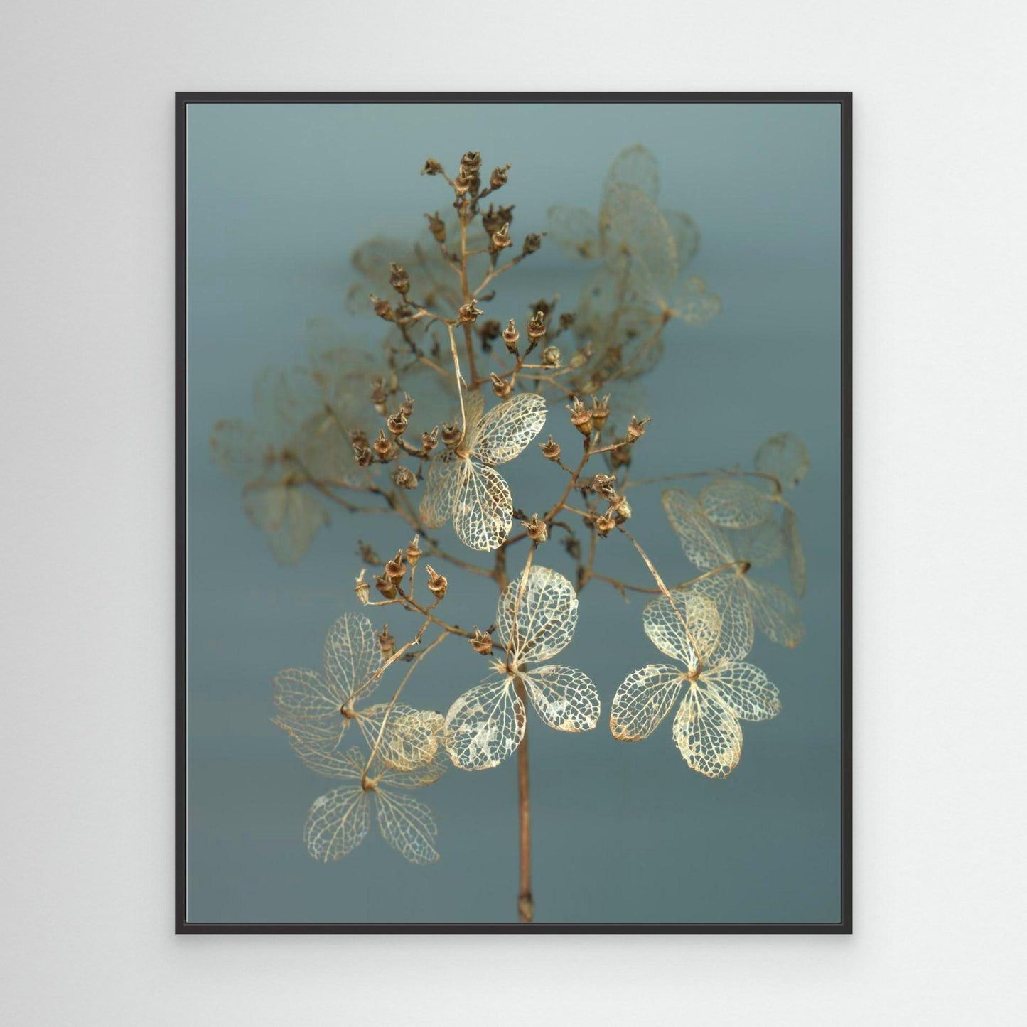 Nazomerfluisteringen: Hortensia - Canvas print