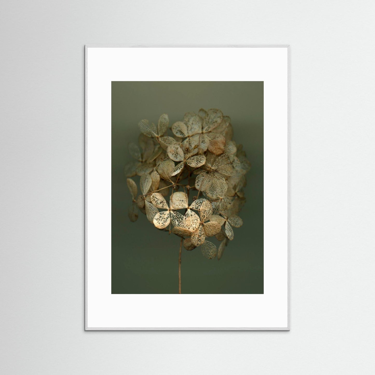 Nazomerfluisteringen: Hortensia #2 - Art print