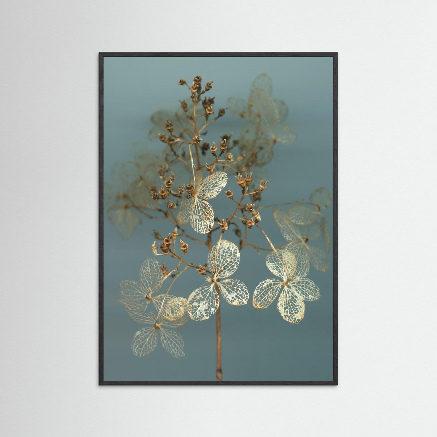 Nazomerfluisteringen: Hortensia  -  Art print
