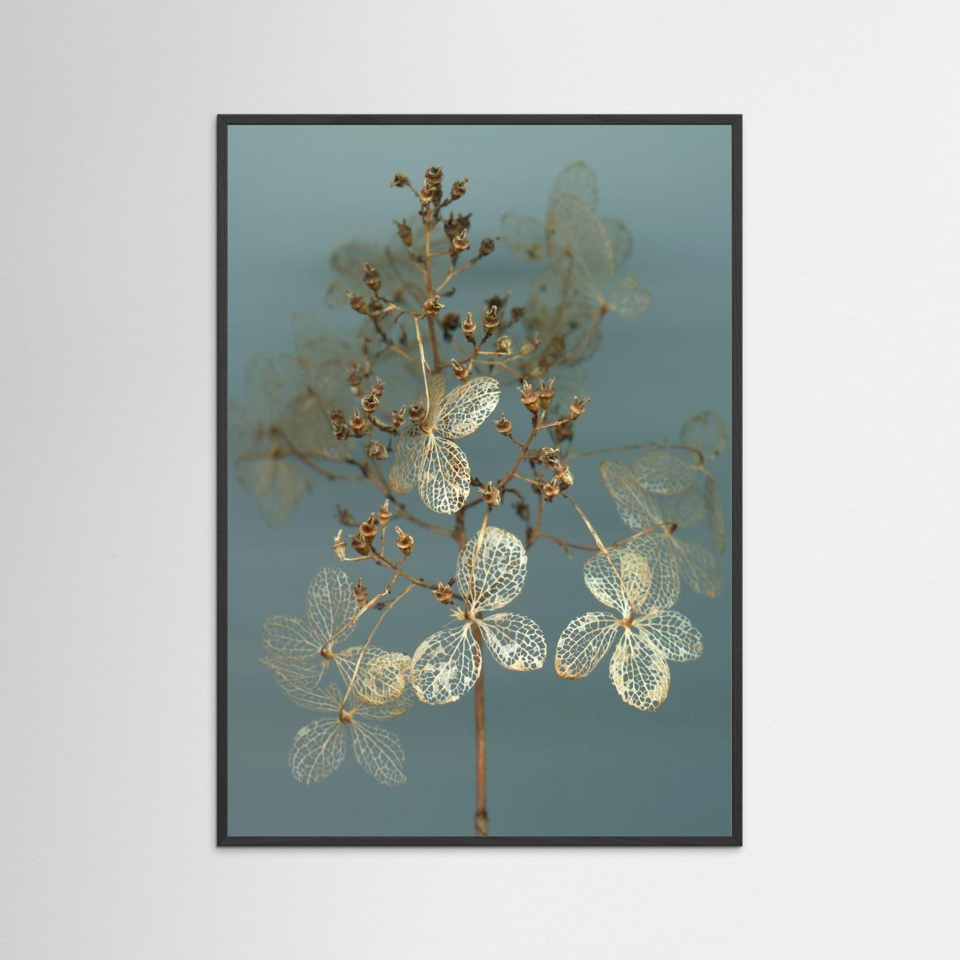 Nazomerfluisteringen: Hortensia  -  Art print
