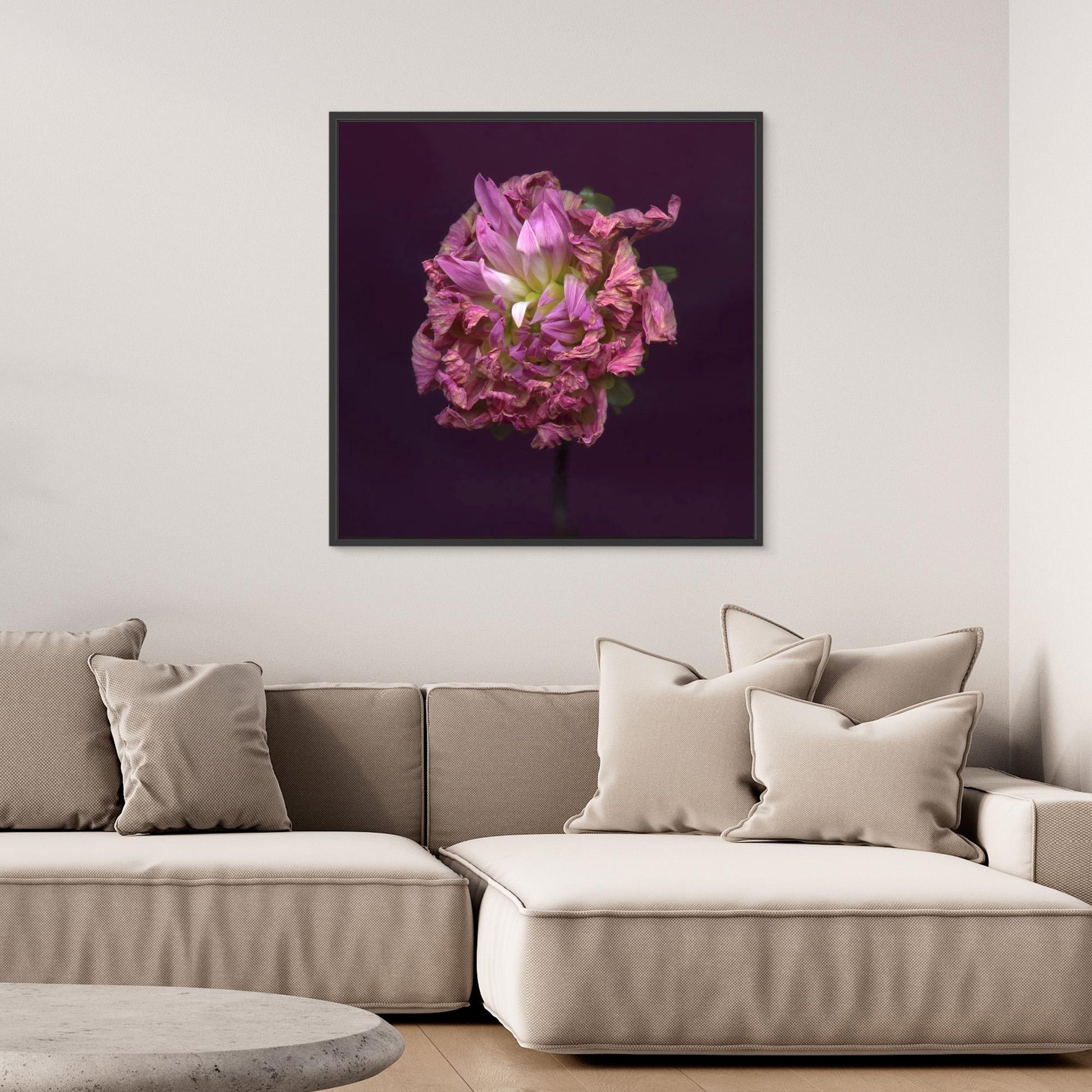 Nazomerfluisteringen: Roze dahlia  -  Canvas print