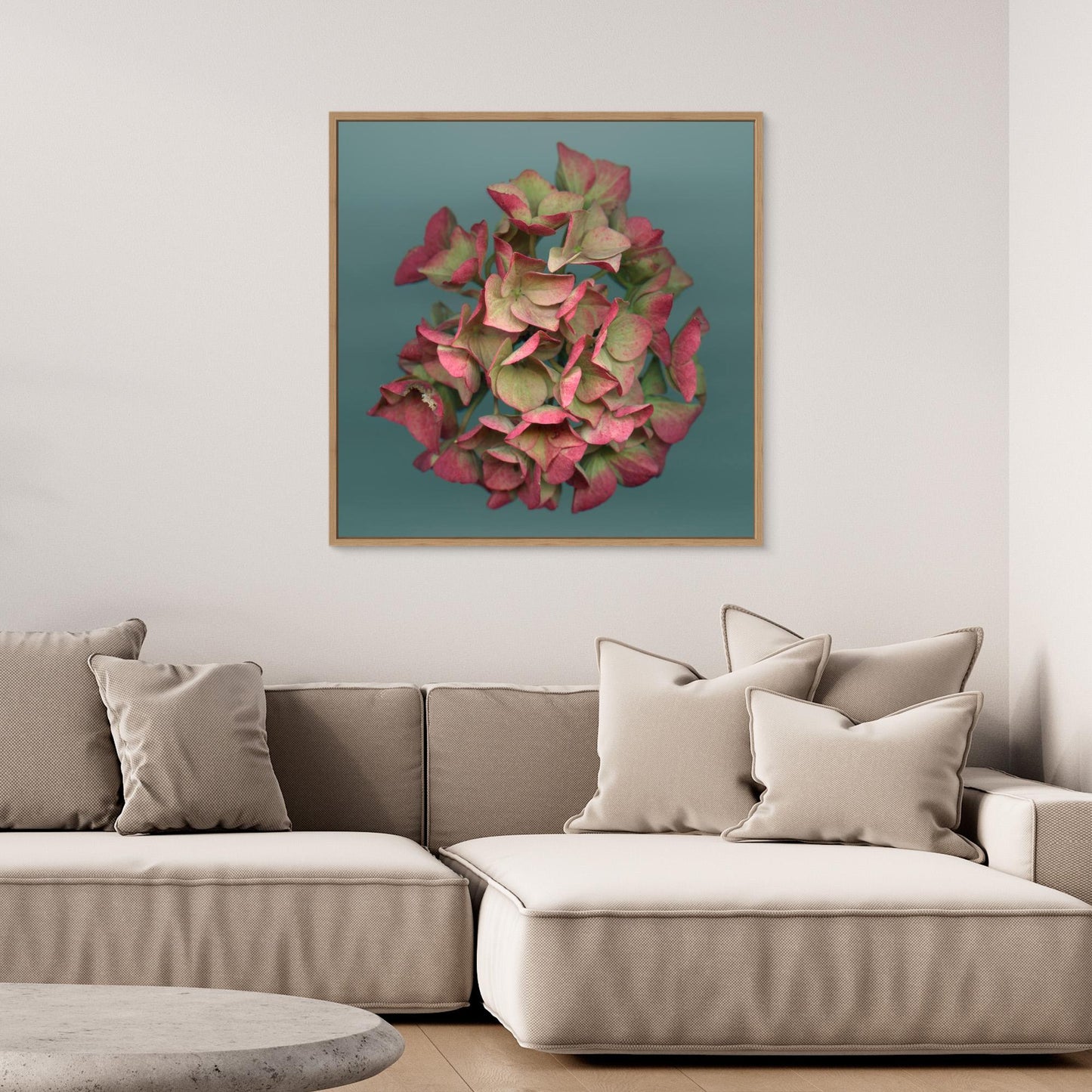 Nazomerfluisteringen: Roze hortensia  -  Canvas print