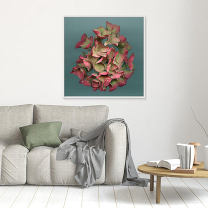 Nazomerfluisteringen: Roze hortensia  -  Canvas print
