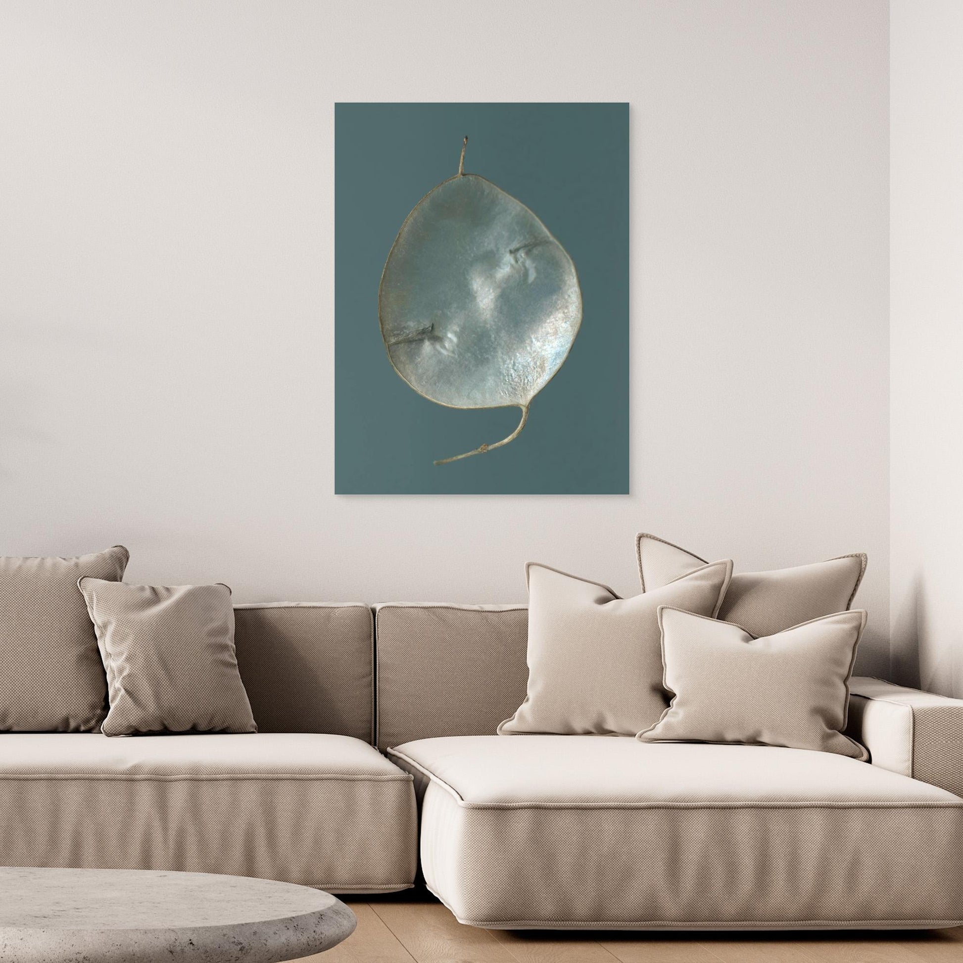 Nazomerfluisteringen: Judaspenning  -  Canvas print