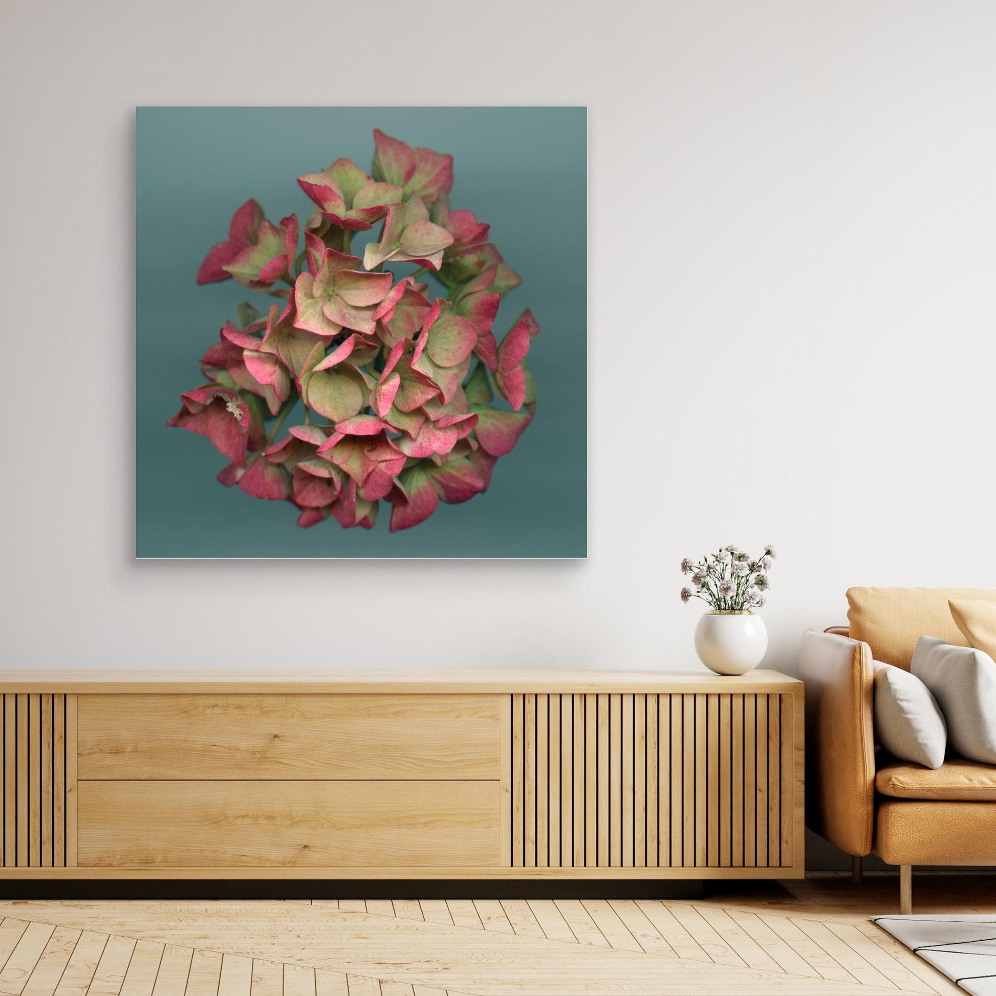 Nazomerfluisteringen: Roze hortensia  -  Canvas print
