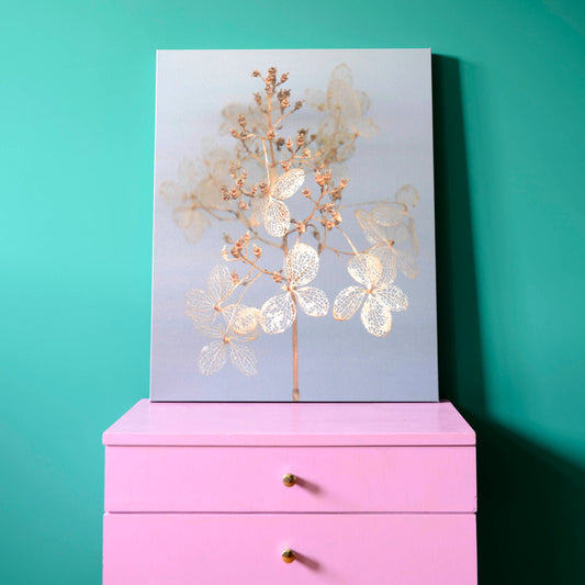 Nazomerfluisteringen: Hortensia  -  Canvas print