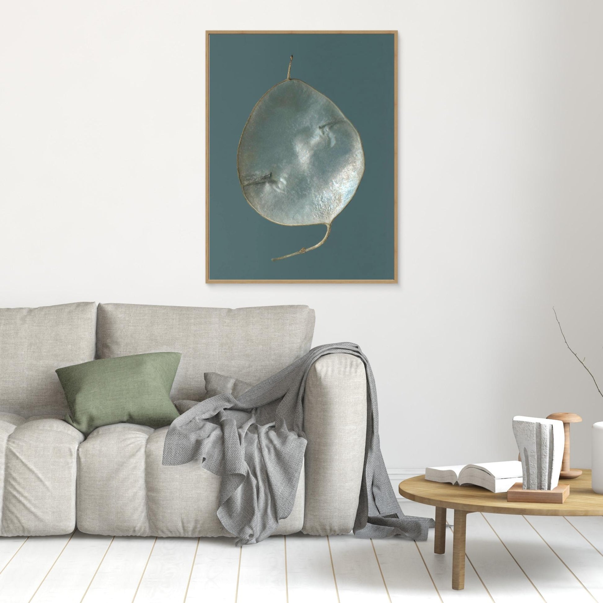 Nazomerfluisteringen: Judaspenning  -  Canvas print