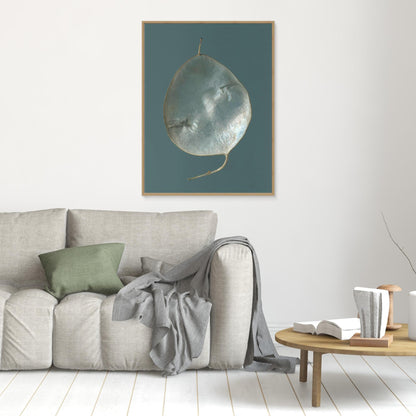 Nazomerfluisteringen: Judaspenning  -  Canvas print