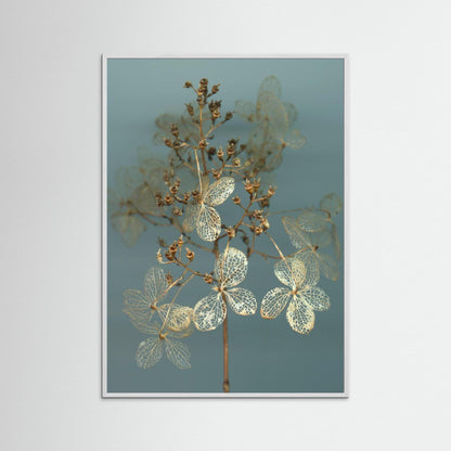 Nazomerfluisteringen: Hortensia  -  Art print