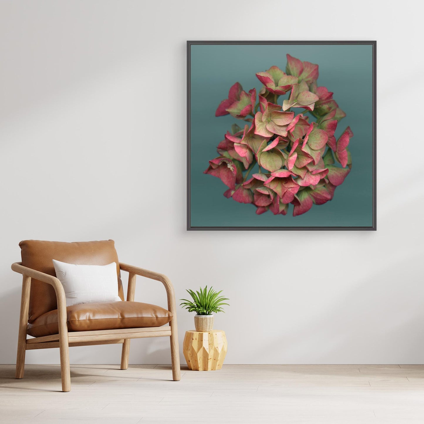 Nazomerfluisteringen: Roze hortensia  -  Canvas print