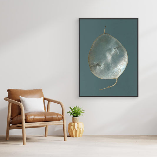 Nazomerfluisteringen: Judaspenning  -  Canvas print