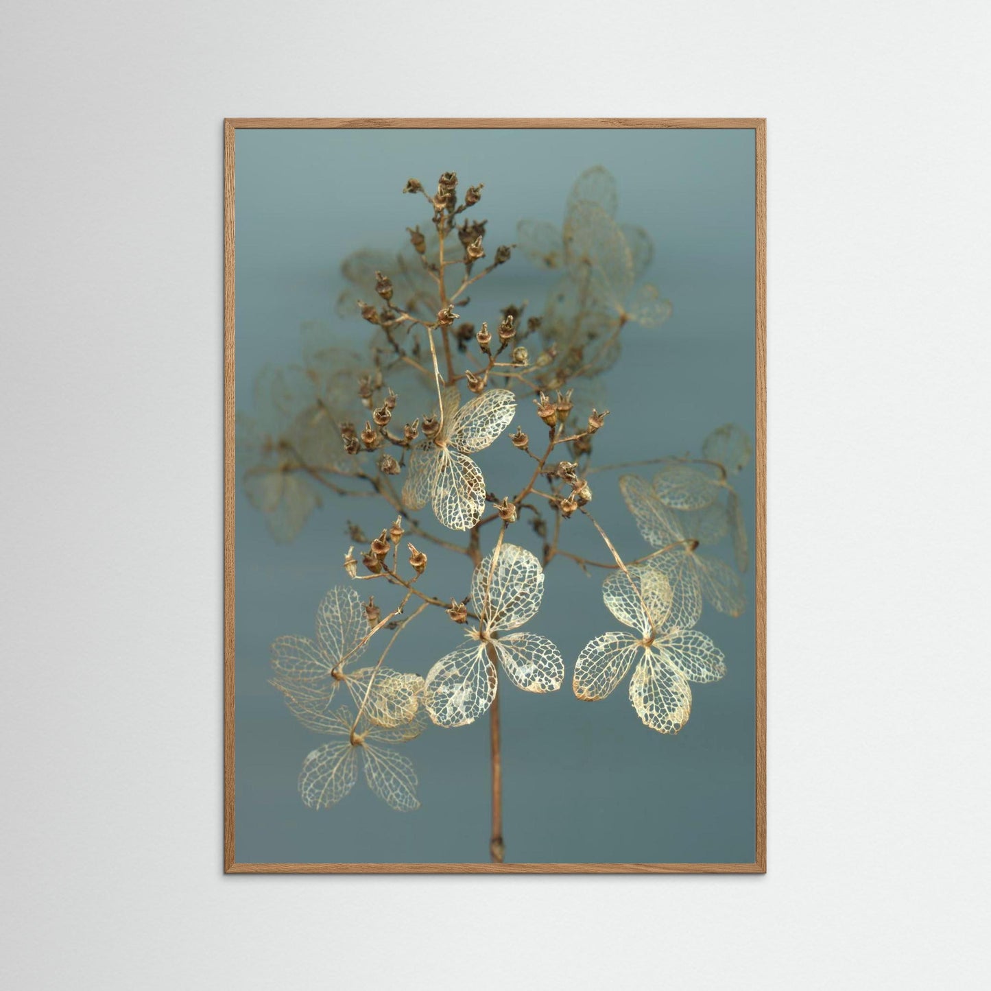 Nazomerfluisteringen: Hortensia  -  Art print