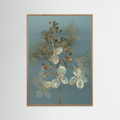 Nazomerfluisteringen: Hortensia  -  Art print